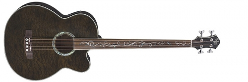 Dragonfly 4 String Fretless Acoustic Bass Guitar - Trans Black