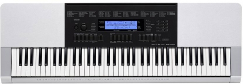 Casio WK-220 Klavye