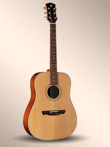 No Name W-100 Akustik Gitar