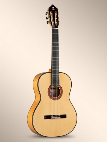 10Fc Flamenko Gitar