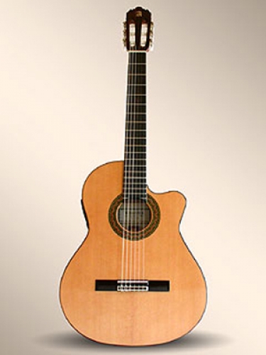 3F-CW-E1 Flamenko Gitar