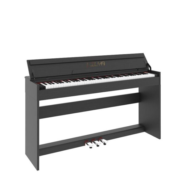 Lilya LA-2022 Standard Touch Digital Piano