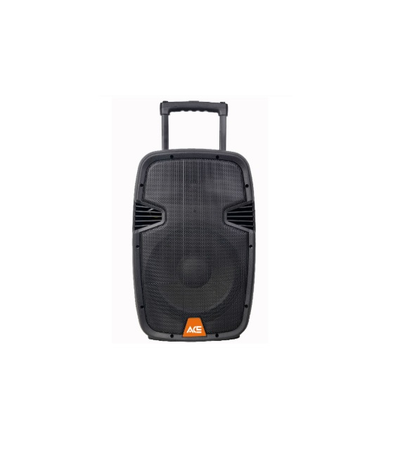 ACE PAQ-15AB(Empty) – 15W Amplifikatör Boş Kasa