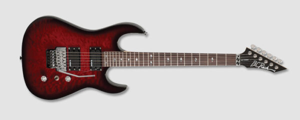 ASM Standart – Elektro Gitar