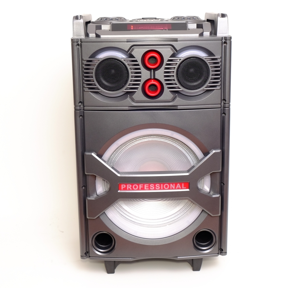 Ace Audio PWP10AB – 400 Watt Taşınabilir Amplifikatör