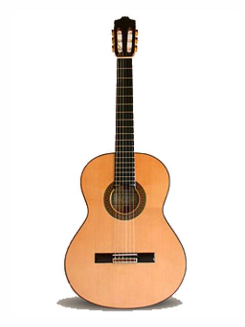 5F Flamenko Gitar
