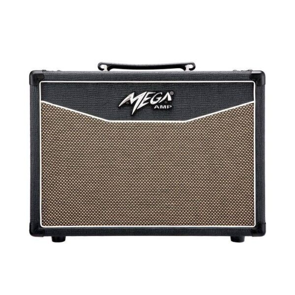 AC30R – 30 W Küp Akustik Gitar Amfi
