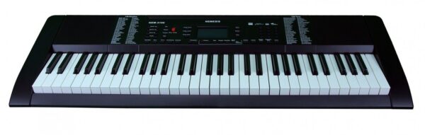 Nemesis NEM3100 – Elektronik Org