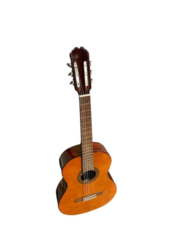 Alvaro Classical Guitar No:25