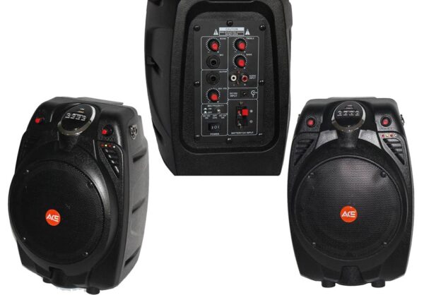 Ace Audio PAB15ABW – 30 Watt Taşınabilir Aktif Kabin