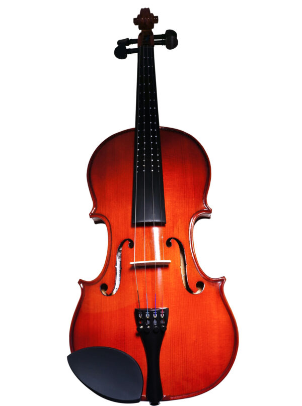 Pagannini Violins MV012RY 4/4 Keman + Aksesuar