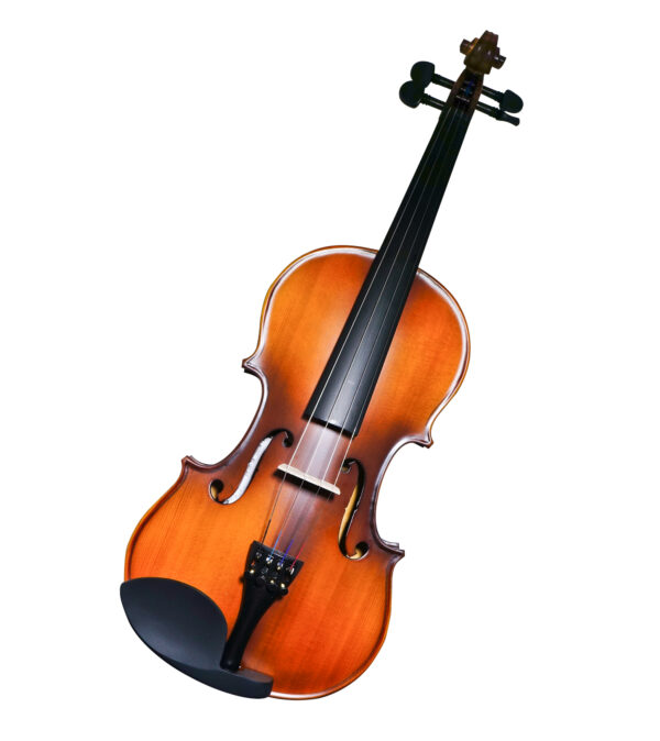 Pagannini Violins MV012WF 4/4 Keman + Aksesuar