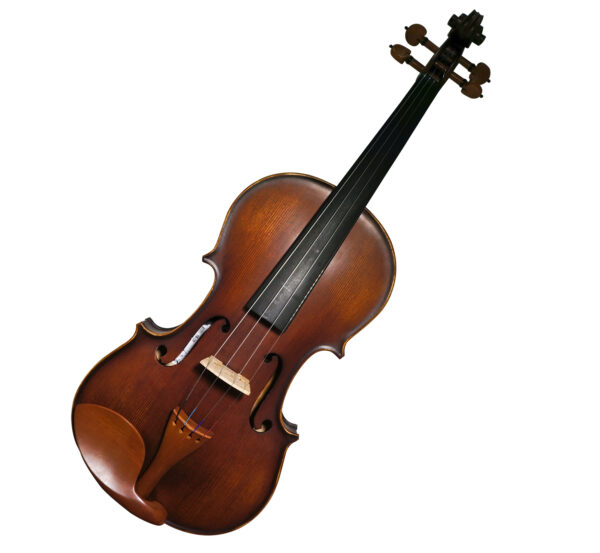 Pagannini Violins VM120 4/4 Keman + Aksesuar