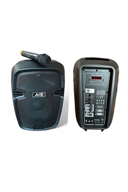 Ace Audio PAQ10BL Aktif Kabin
