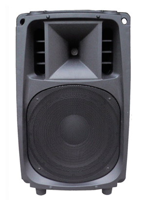 Ace Audio PAZ65AB – 30 Watt Taşınabilir Şarjlı Amplifikatör (Siyah)