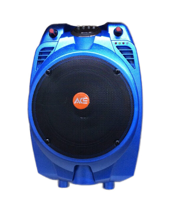 Ace Audio PAZ67AB – 30 Watt Taşınabilir Şarjlı Amplifikatör (Mavi)