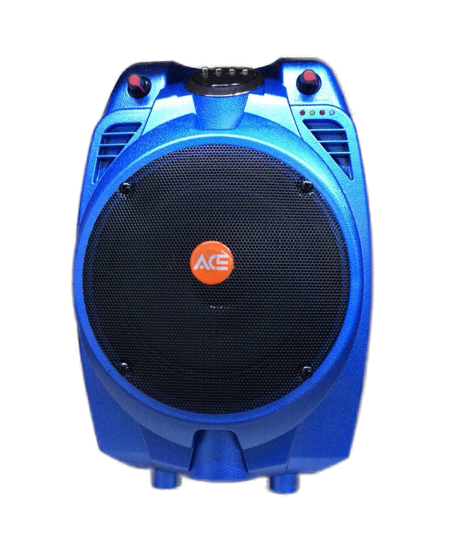 Ace Audio PAZ67AB – 30 Watt Taşınabilir Şarjlı Amplifikatör (Mavi)