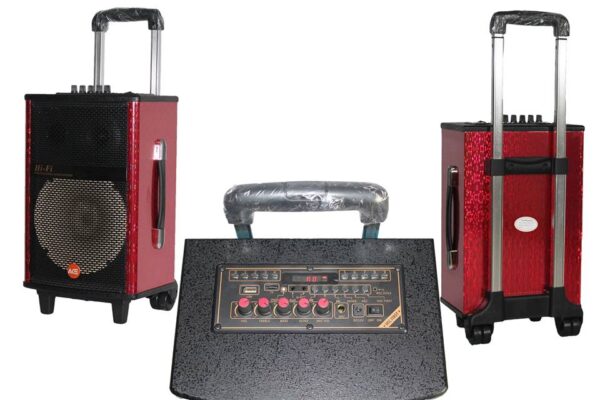 Ace Audio PWR8A – 50 Watt Taşınabilir Şarjlı Amplifikatör