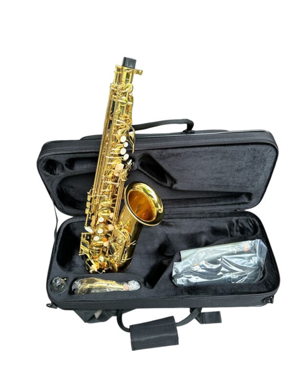 Wisemann DAS200 – Alto Saksafon